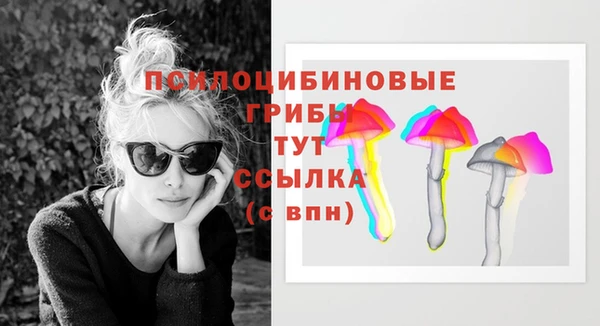 прущий лед Касимов
