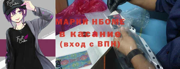 ГАЛЛЮЦИНОГЕННЫЕ ГРИБЫ Каменка
