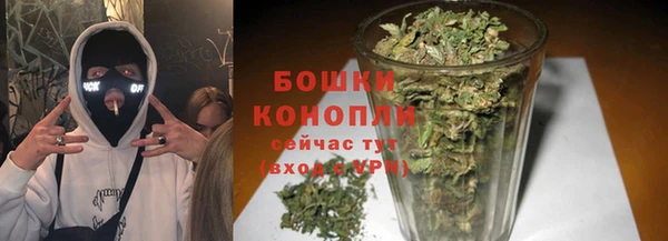 ПСИЛОЦИБИНОВЫЕ ГРИБЫ Карпинск