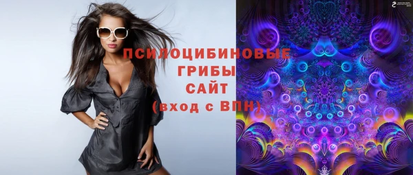 ПСИЛОЦИБИНОВЫЕ ГРИБЫ Карпинск