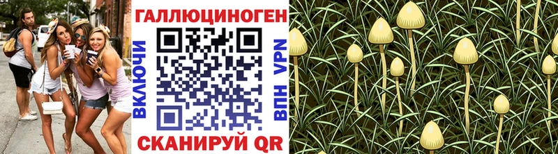 Галлюциногенные грибы мицелий  Купить  Знаменск 